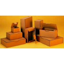 Bo&icirc;te petit format kraft pc 10 bp 24 x 17 x 5 cm