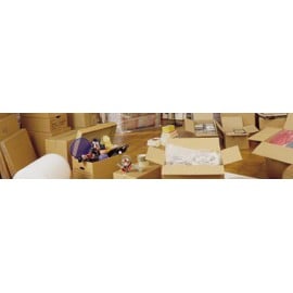 Caisse am&eacute;ricaine format d&eacute;m&eacute;nageur LNE10 SC 55 x 35 x 33 cm