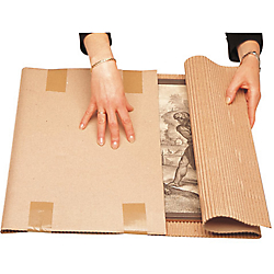 carton-ondulé-calage-emballages-transporter-protéger-marchandises-enveloper-écologiques-caisses-bac-vitres-bouteilles-protections